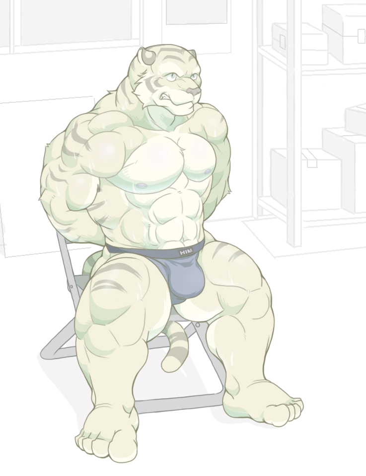 anthro biceps big_muscles body_markings bound bulge chair clenched_teeth feline fur hands_behind_back him_(artist) jockstrap male mammal markings muscles nipples pecs pose sitting solo stripes teeth tiger topless underwear unknown_artist