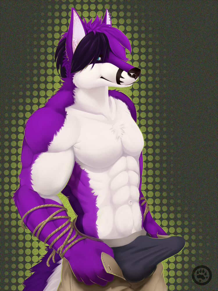 anthro balls biceps big_muscles black_hair black_nose blue_eyes bulge canine chest_tuft clothing ear_piercing efenrai erection erection_under_clothes folf fox fur grin hair hybrid looking_at_viewer male mammal muscles open_pants pants pecs penis piercing pose presenting purple_fur purple_hair rope shyloc smile solo standing toned topless tuft underwear white_fur wolf