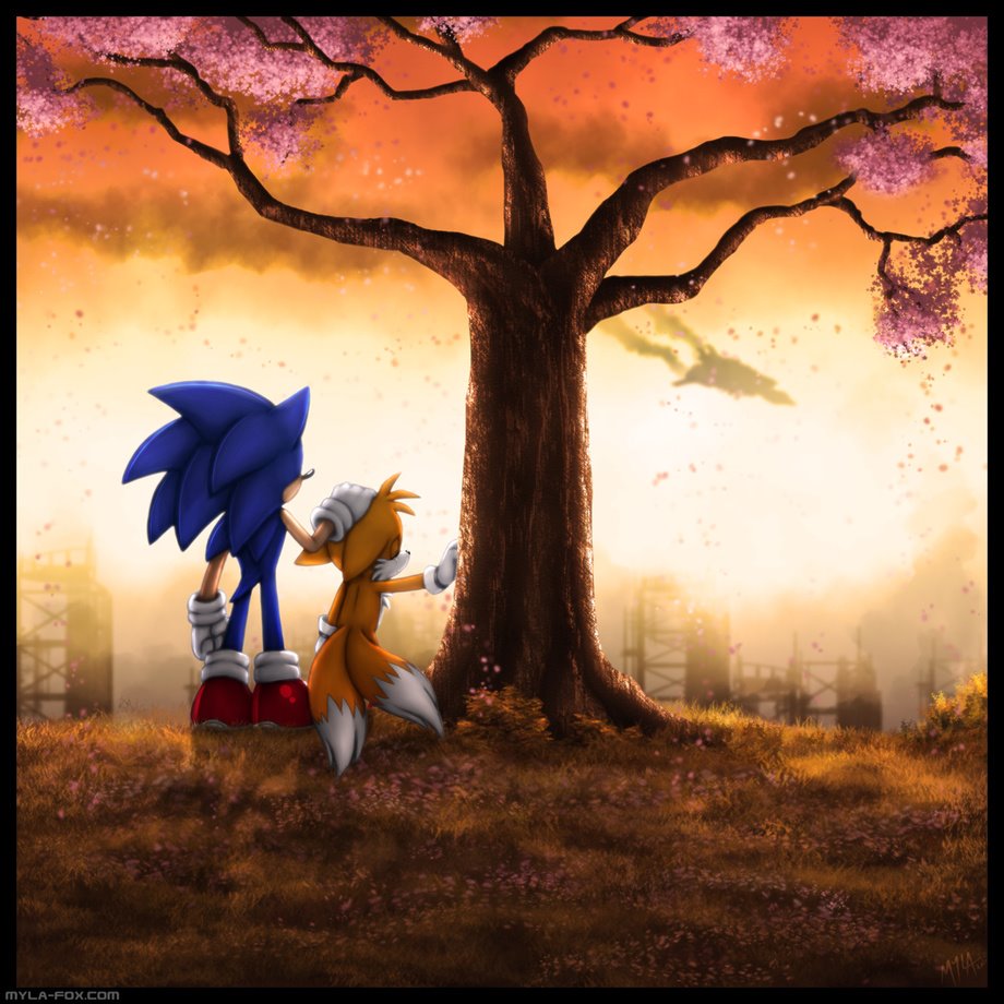 blue_fur canine crying eyes_closed fox fur gloves hand_on_head hedgehog mammal miles_prower multiple_tails mylafox outside sega shoes sonic_(series) sonic_the_hedgehog sunset tears tree yellow_fur