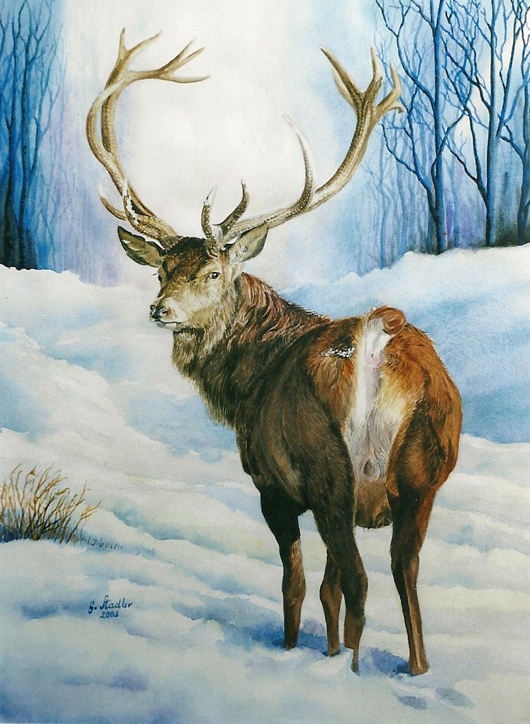 balls cervine deer feral gstadlergstadler hooves male mammal nude snow solo traditional_media watercolor winter