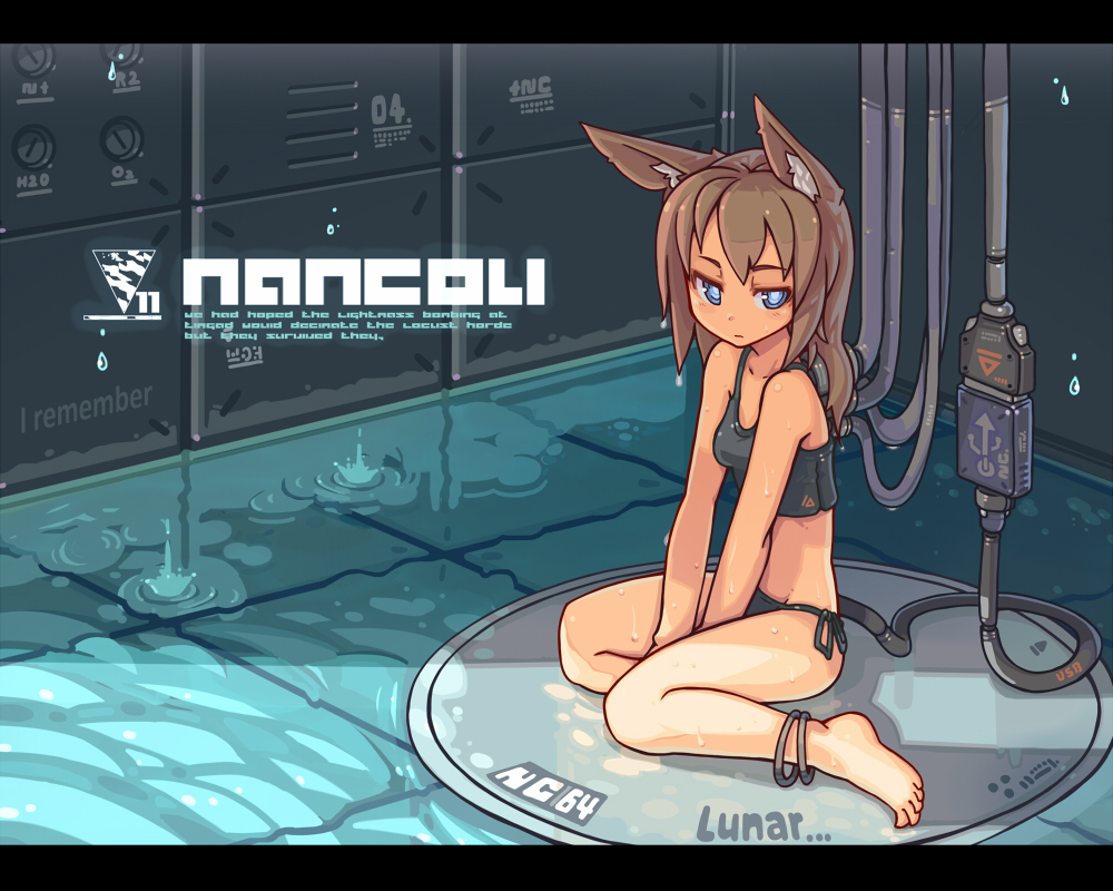 android animal_ears anklet barefoot bikini blue_eyes brown_hair cable cat_ears engrish jewelry jitome letterboxed long_hair nancou_(nankou) original ranguage side-tie_bikini sitting solo sports_bra swimsuit usb wariza water wet