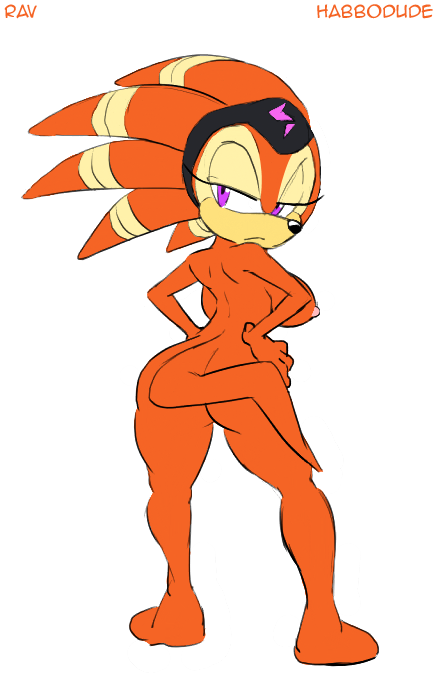 big_breasts breasts butt echidna erect_nipples female habbodude hair looking_at_viewer looking_back nipples nude orange_hair purple_eyes rav ravnic sega shade_the_echidna solo sonic_(series)