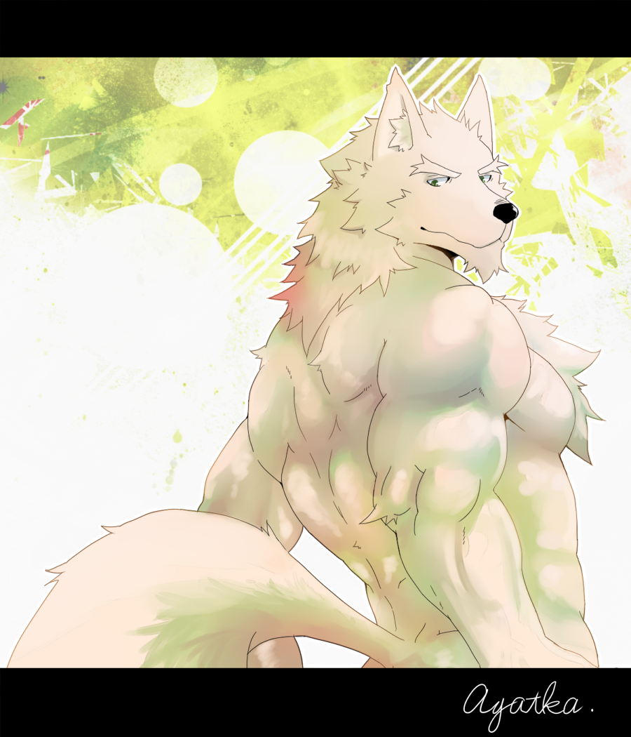 abs anthro biceps black_nose canine chest_tuft fur green_eyes looking_at_viewer looking_back male mammal muscles nude pecs pose solo standing toned tuft umetora_(pixiv) white_fur wolf