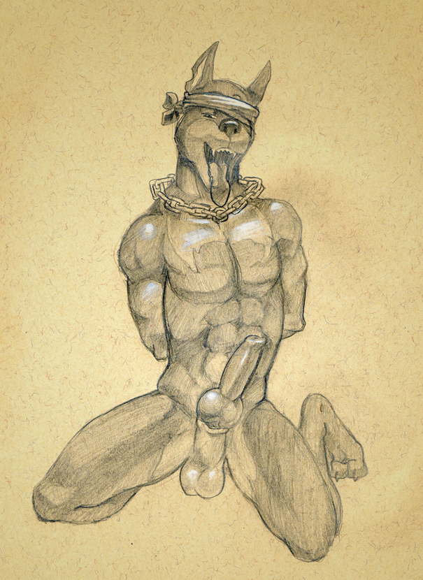 animal_genitalia anthro balls bandanna biceps blindfold canine canine_penis chain claws collar doberman dog erection fangs fur jude kneeling knot male mammal muscles nude open_mouth pecs penis pose presenting sheath sketch solo spread_legs spreading teeth toe_claws tongue tongue_out tush vein