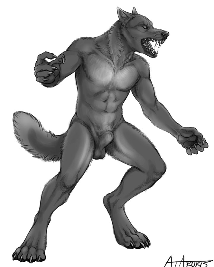 balls canine male mammal rukis sheath solo teeth tongue were werewolf wolf