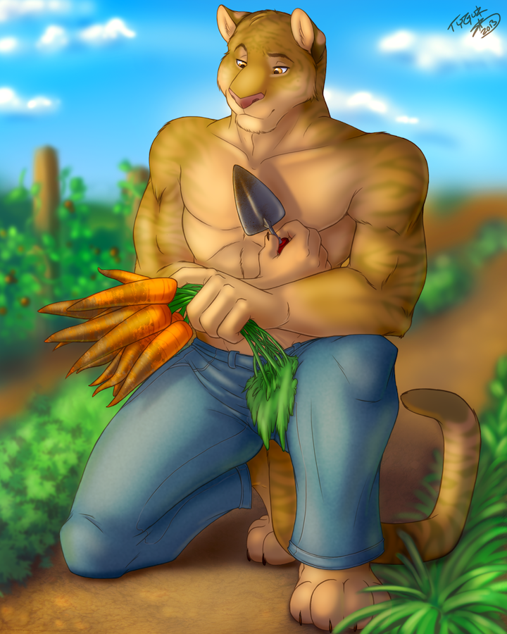 abs barefoot biceps body_markings brown_fur bulge carrot claws clothed clothing feline fur garden gardening half-dressed hybrid jeans kneeling liger lion male mammal markings muscles pants pecs pink_nose solo spade stripes tan_fur tiger toe_claws topless tygurstar yellow_eyes