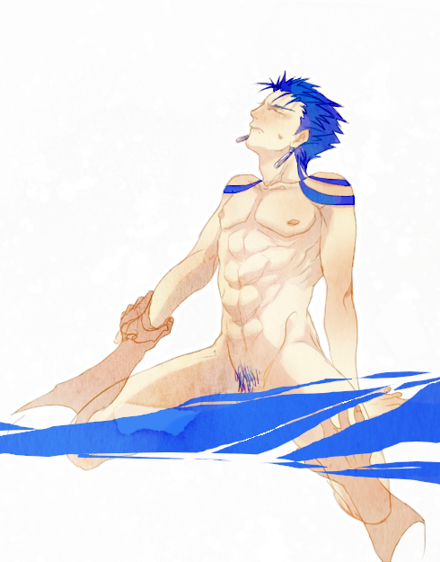 fate/stay_night lancer tagme