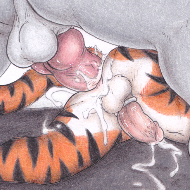 anal_penetration balls close-up cock_ring cum cum_in_ass cum_inside cumshot erection feline gay glowfox hands-free knot male mammal orgasm penetration penis sex size_difference tiger tight_fit