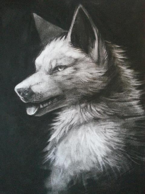 ambiguous_gender black_and_white canine charcoal falvie greyscale mammal monochrome shading tongue