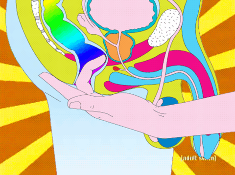 adult_swim anatomy animated penis tumblr