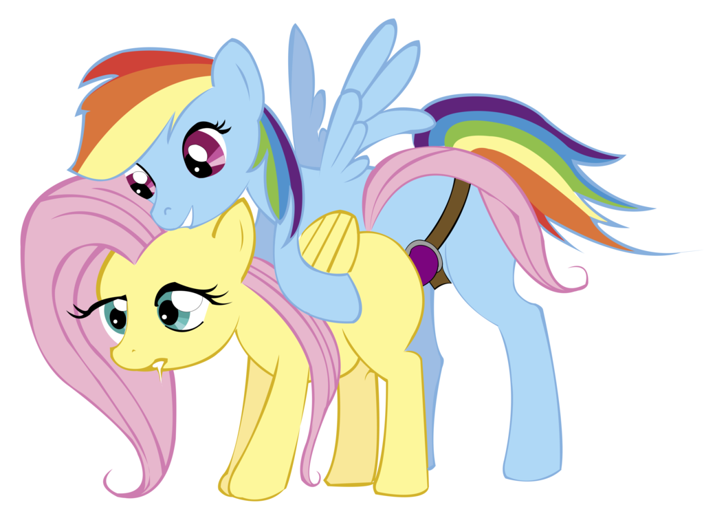 clopsmith fluttershy friendship_is_magic my_little_pony rainbow_dash