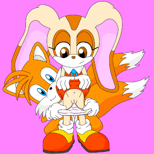 cream_the_rabbit sonic_team tagme tails