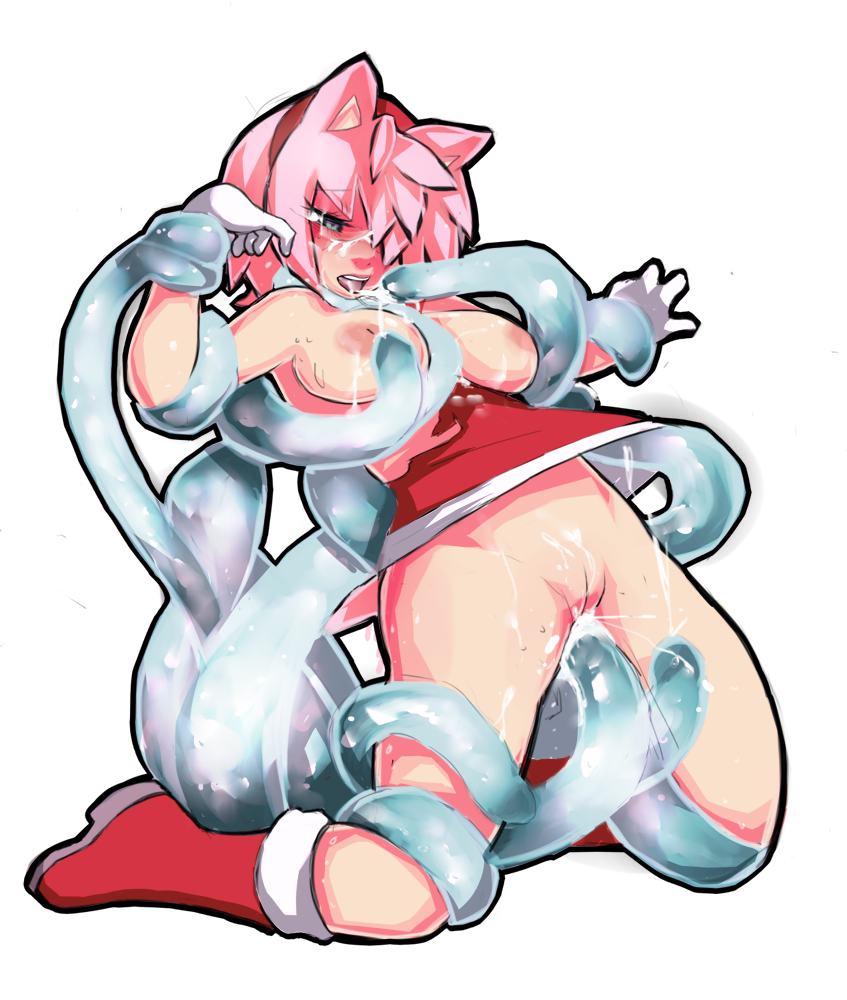 amy_rose antiheld chaos sonic_team tagme