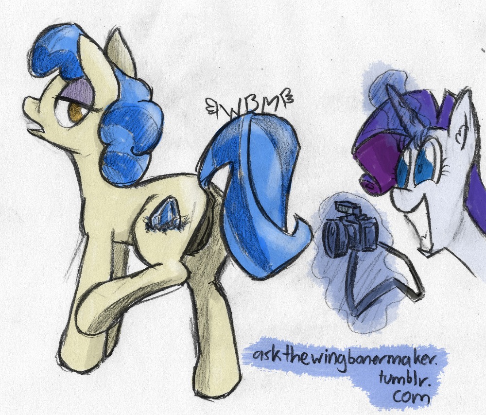 friendship_is_magic my_little_pony rarity sapphire_shores wingbonermaker