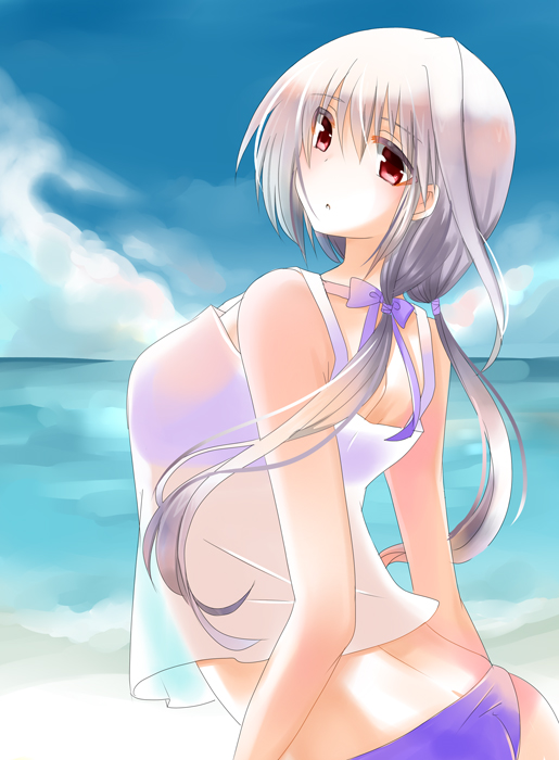 :o alternate_hairstyle bad_id bad_pixiv_id beach bikini bikini_under_clothes bow breasts cloud day from_behind hair_bow horizon large_breasts looking_back lyrical_nanoha mahou_shoujo_lyrical_nanoha mahou_shoujo_lyrical_nanoha_a's mikaze ocean outdoors red_eyes reinforce see-through silver_hair sky solo swimsuit swimsuit_under_clothes twintails