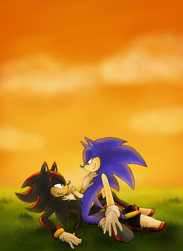 balls black black_fur blue_hair duo fur gay gloves green_eyes hair hedgehog male mammal penetration penis red_eyes sega sex shadow_the_hedgehog smile sonic_(series) sonic_the_hedgehog