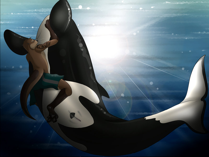 cetacean female feral male mammal marine mustelid orca otter pussy size_difference tattoo theothefox underwater underwater_sex water whale