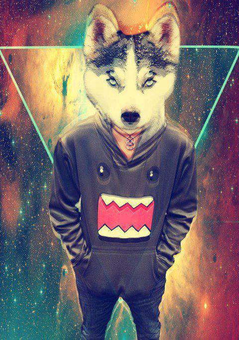 canine clothing domo jeans karurosu looking_at_viewer male mammal solo wolf