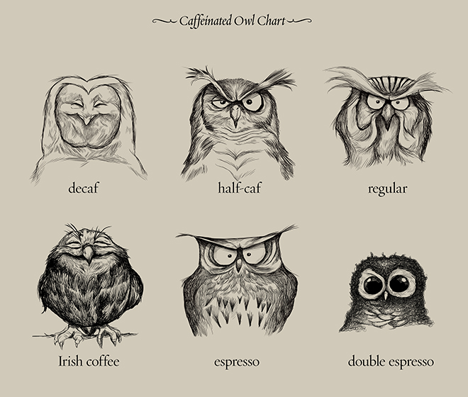 avian black_and_white coffee dave_mottram english_text looking_at_viewer monochrome owl text