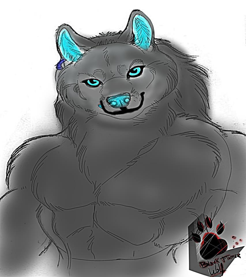 canine male mammal silverbowserwolf solo wolf