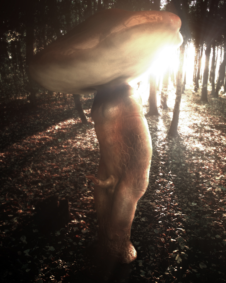 anthrofied cum flora_fauna forest gedinixan_(artist) male mushroom nightmare_fuel penis precum realistic shadow solo sunlight surreal tapering_penis tree what what_has_science_done