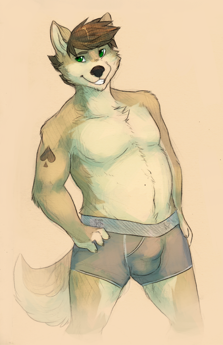 bulge canine cherrybox chubby dingo looking_at_viewer male mammal solo topless underwear