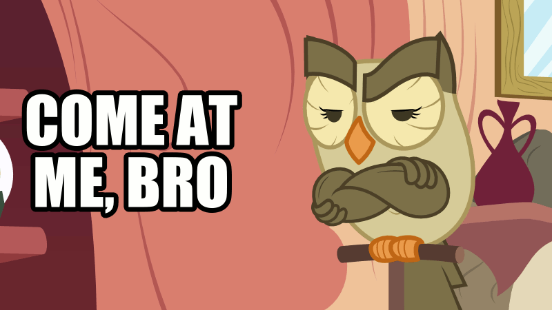 animated avian come_at_me_bro english_text friendship_is_magic male moving my_little_pony owl owlowiscious_(mlp) reaction_image screencap solo text vase zutheskunk