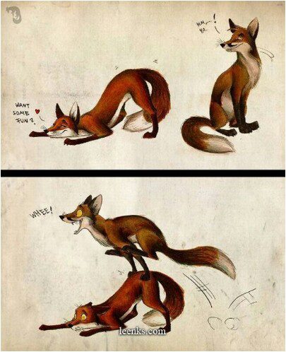 ass_up canine comic english_text fox fun humor playing text unknown_artist