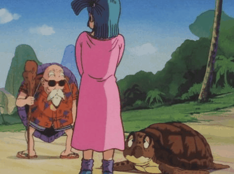 1boy 1girl animal animated animated_gif ass bald beard bulma cloud clouds dragon_ball dragonball_z dress dress_lift facial_hair feet flashing green_hair legs looking_up lowres mountain muten_roushi nightgown nightgown_lift no_panties old_man open_mouth outdoors sandals shoes side_ponytail sky sneakers socks standing sunglasses thighs tree turtle turtle_shell