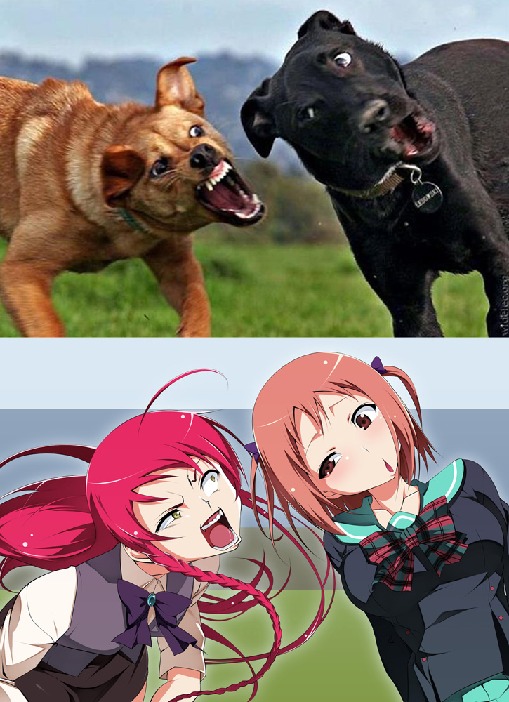 angry braid breasts brown_eyes brown_hair chestnut_mouth comparison derivative_work dog green_eyes hataraku_maou-sama! large_breasts long_hair multiple_girls no_legwear open_mouth photo photo-referenced red_hair reference_photo reference_photo_inset sasaki_chiho school_uniform short_hair short_twintails tanabe_kyou teeth tongue twintails yusa_emi