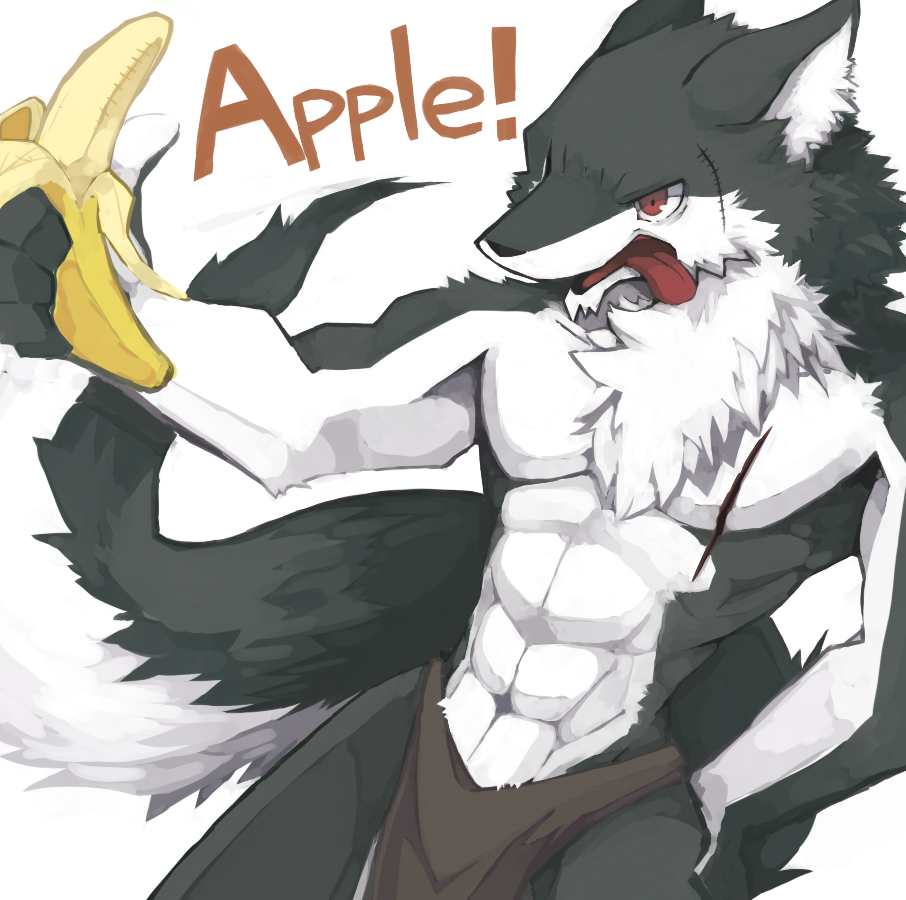 abs angry anthro apple banana biceps black_fur canine chest_tuft doing_it_wrong english_text food fruit fur grey_fur humor loincloth male mammal muscles open_mouth pecs plain_background pose red_eyes scar shin_(artist) solo standing text toned tongue tongue_out topless tuft underwear what white_background white_fur wolf