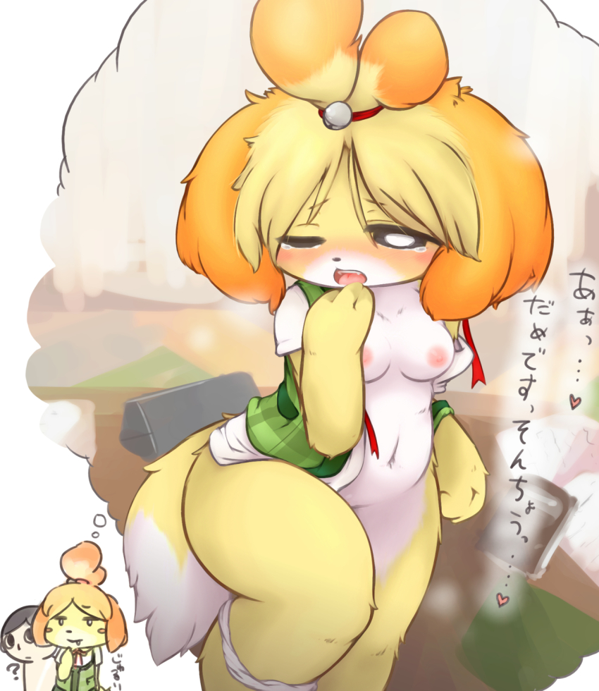 animal_crossing anthro blush breasts canine daydream dog female human isabelle_(animal_crossing) japanese_text nipples open_mouth text