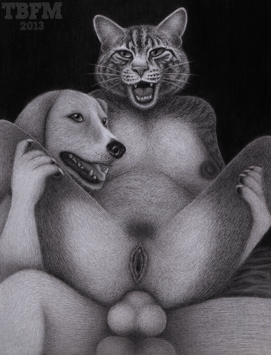 anal anal_penetration avoid_posting balls breasts canine cat dog feline female knot male mammal nipples pads paws penetration penis pussy sex spread_legs spreading straight tbfm tommy