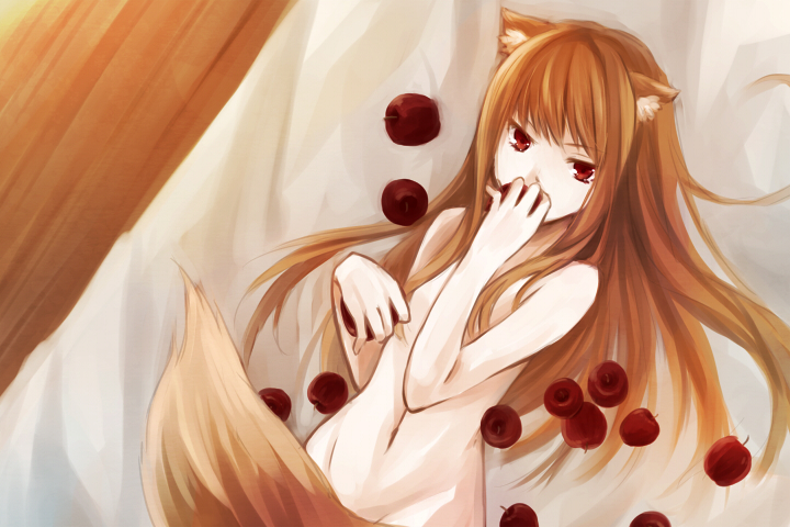 animal_ears apple brown_hair expressionless food fruit holo long_hair looking_at_viewer navel nude red_eyes shiraume_(hakubaian) solo spice_and_wolf tail tsurime upper_body wolf_ears wolf_tail
