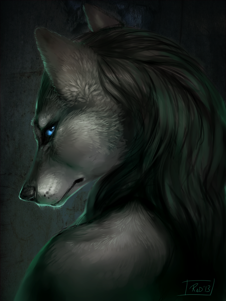 blue_eyes canine female fur grey_fur looking_at_viewer looking_back mammal rhyu solo wolf