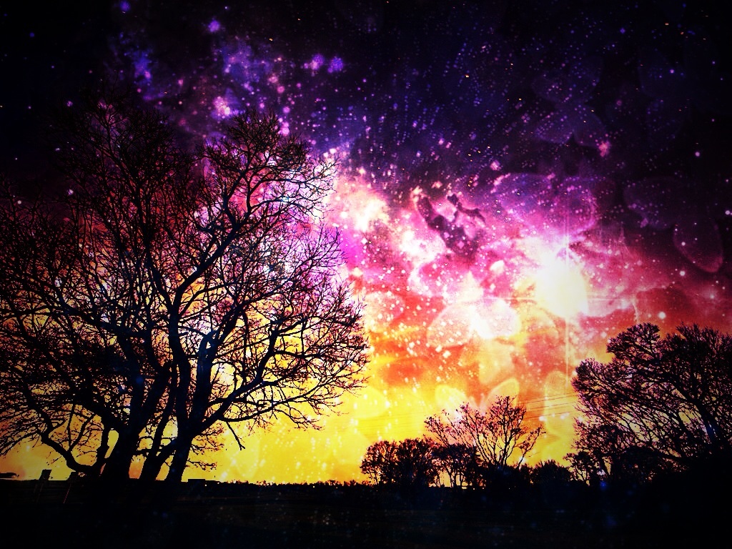 asuka_(artist) clouds original scenic silhouette sky stars sunset tree