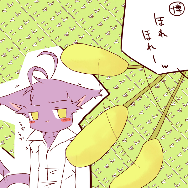 blush cat chibi clothing cute feline japanese_text mammal morenatsu shin_kuroi text translated translation_request