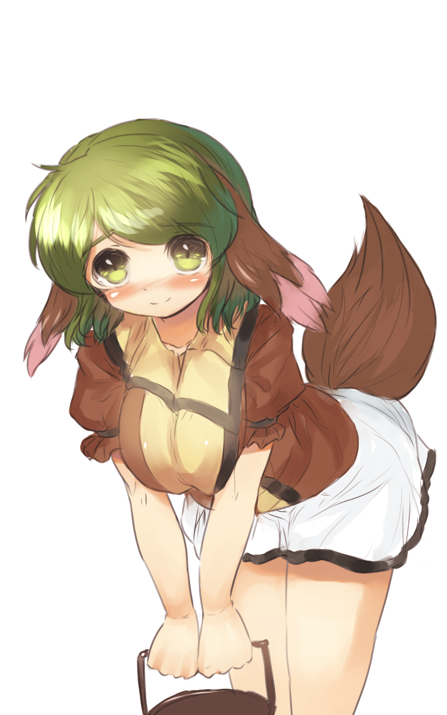 animal_ears blush breasts danbo_(rock_clime) green_eyes green_hair highres kasodani_kyouko large_breasts short_hair simple_background skirt smile solo tail touhou white_background