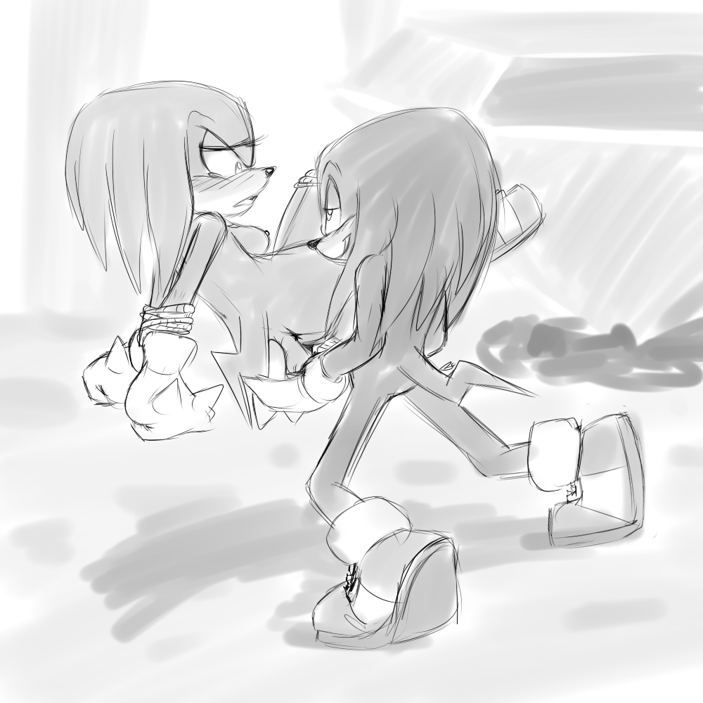 bluechika knuckles_the_echidna rule_63 sonic_team tagme