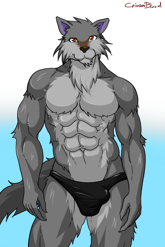 abs anthro biceps big_muscles black_nose brown_eyes bulge canine fur grey_fur male mammal muscles pecs pose scarletblood solo speedo standing swimsuit toned topless underwear wolf
