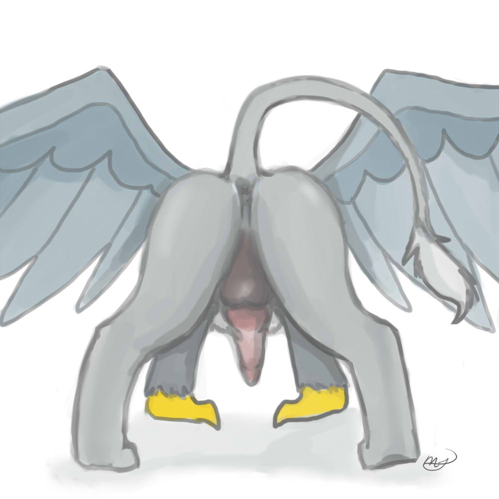 anus ass_up avian balls butt erection faceless_male ganix gryphon male meggchan my_little_pony nude original_character penis perineum plain_background presenting presenting_hindquarters raised_tail solo spread_wings white_background wings