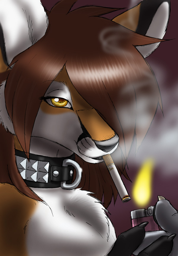 anthro canine collar cox fire fox gideon girly lighter male mammal smoke smoking