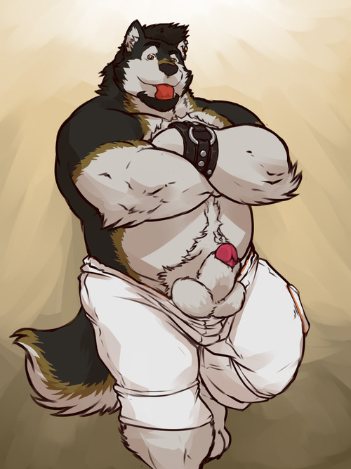 balls belly biceps big_muscles canine chubby clothing fur grisser male mammal muscles pants pants_down penis sheath wolf
