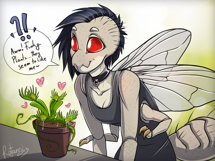 &lt;3 2013 ? arthropod black_shirt breasts clothing collar cute dialog dirt female fly insect insectoid invalid_tag plant pot red_eyes rotarr rotarr_(character) shirt solo table tank_top text venus_flytrap vines wings