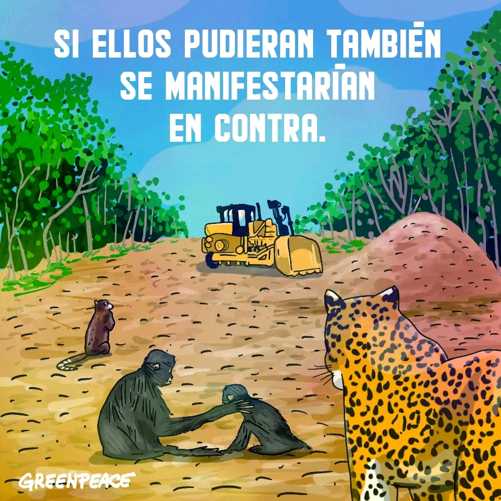 ambiguous_gender atelid coati destruction felid greenpeace group haplorhine jaguar mammal mexico monkey new_world_monkey pantherine plant primate procyonid spanish_text spider_monkey text tree tren_maya unknown_artist vehicle