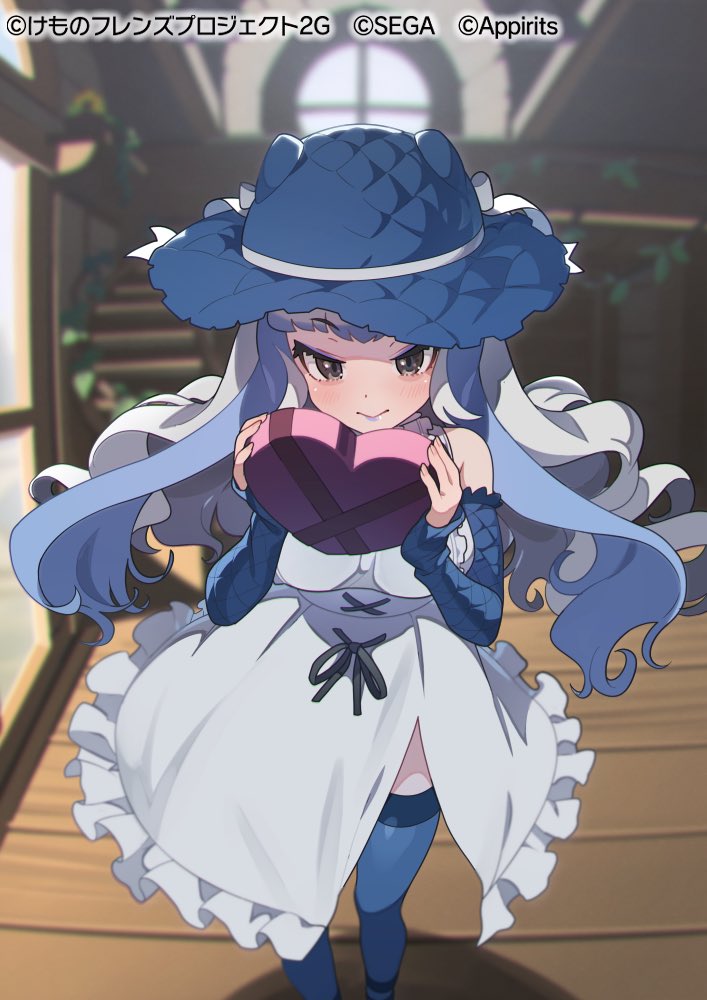 :&gt; bare_shoulders blue_hair blue_headwear blue_lips blue_sleeves blue_thighhighs blush box detached_sleeves dress frilled_dress frilled_sleeves frills hat heart-shaped_box kemono_friends kemono_friends_3 komodo_dragon_(kemono_friends) lizard_tail long_hair looking_at_viewer nishiki_kazue official_alternate_costume official_art reptile_girl scales sleeveless sleeves_past_wrists smile sun_hat tail thighhighs valentine white_dress white_hair zettai_ryouiki