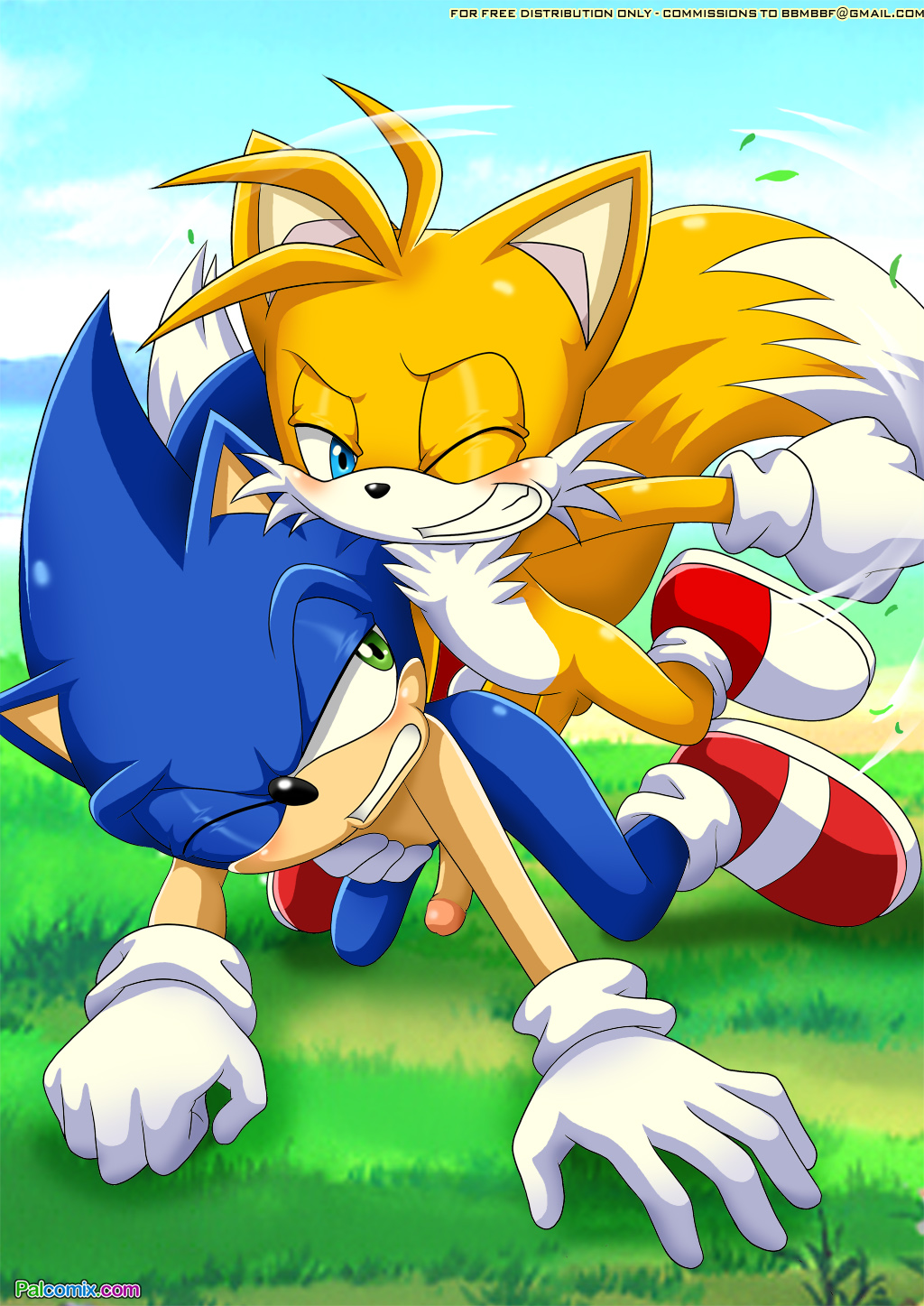 anal anal_penetration anthro balls bbmbbf bent_over blue_eyes blue_hair blush canine doggystyle duo erection flying fox from_behind gay grass green_eyes grin hair hedgehog male mammal miles_prower nude one_eye_closed orange_hair outside penetration penis rape_face sega sex smile sonic_(series) sonic_the_hedgehog