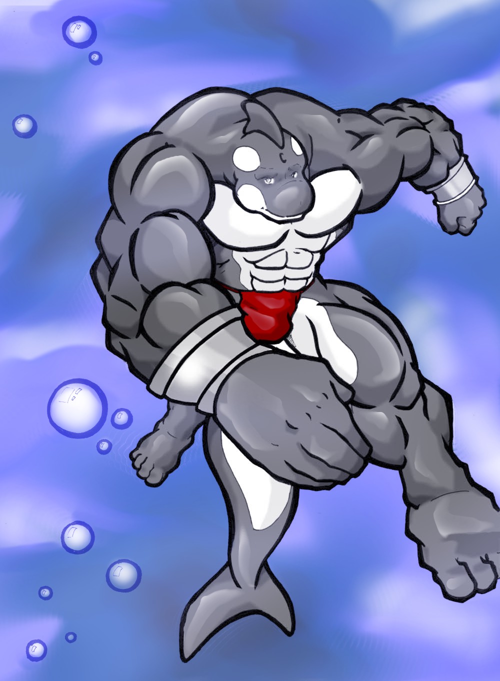 abs anthro biceps big_muscles bracelet bulge canine cetacean clothing dorsal_fin fin fish grey_eyes grey_skin jewelry looking_at_viewer macro male mammal marine muscles orca pecs pose rackun scales sea seaside shark solo speedo swimming swimsuit toned topless underwater underwear water whale