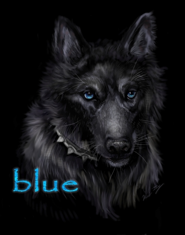 blue_(wolf's_rain) canine dog female feral hybrid mammal miki- solo wolf wolf's_rain wolf's_rain