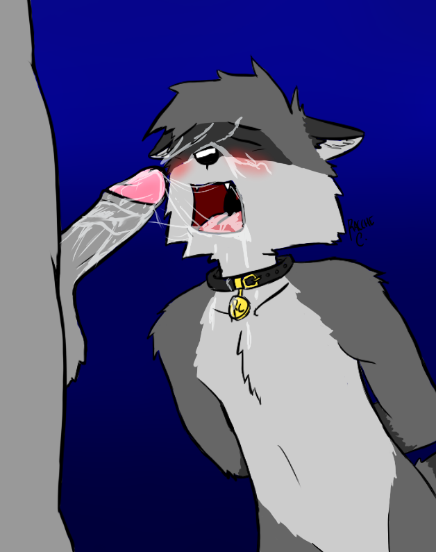 cum_on_face gay male mammal penis raccoon sex tongue